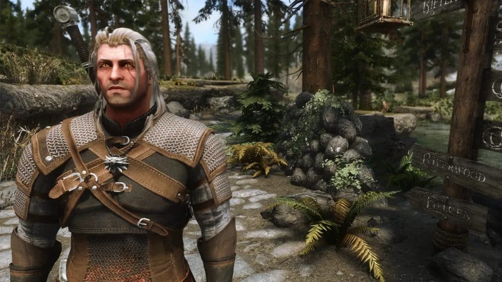 Build wiedźmina w Skyrim