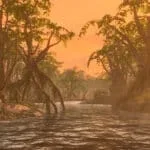 The Whalestone Isles – Nowa Przygoda w Skyrim