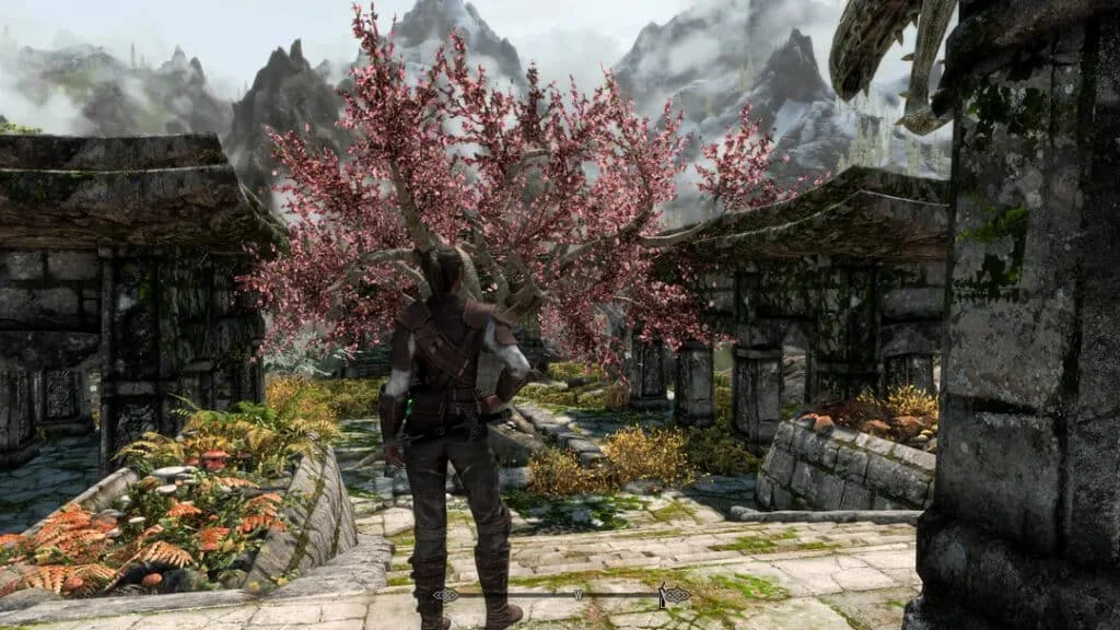Skyrim w 2025 roku