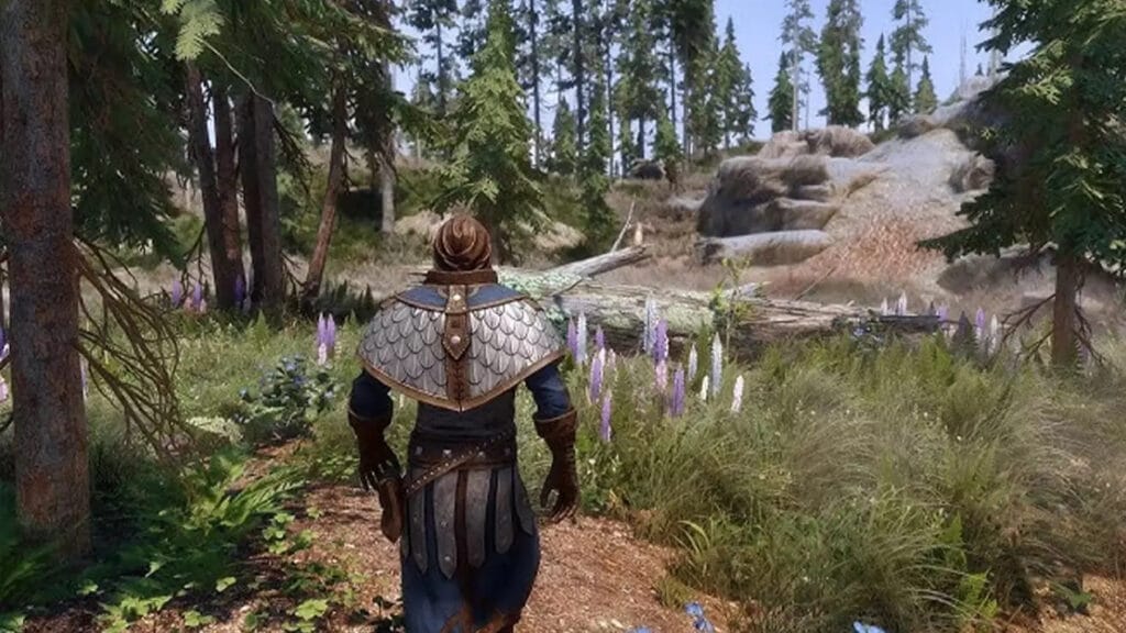 The Elder Scrolls VI